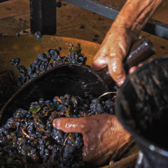 Voucher Experiência: Aprender a Fazer Vinho de Talha