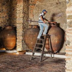 Voucher Experiência: Aprender a Fazer Vinho de Talha