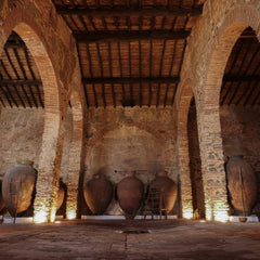 Voucher Workshop: Aprender a Provar Vinhos
