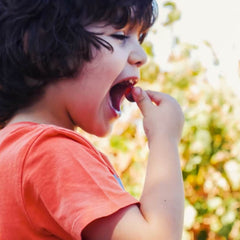 Voucher Família: Pequenos Produtores de Vinho