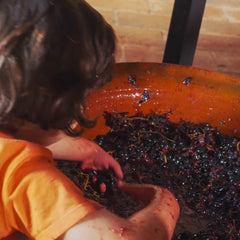 Voucher Família: Pequenos Produtores de Vinho